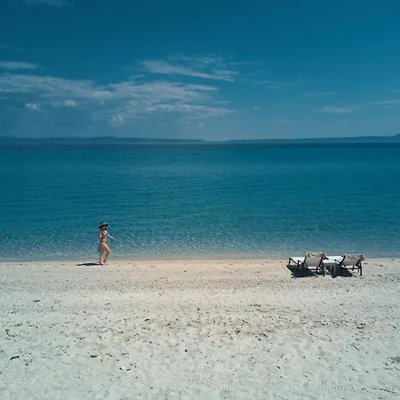 Summer In * Polychrono