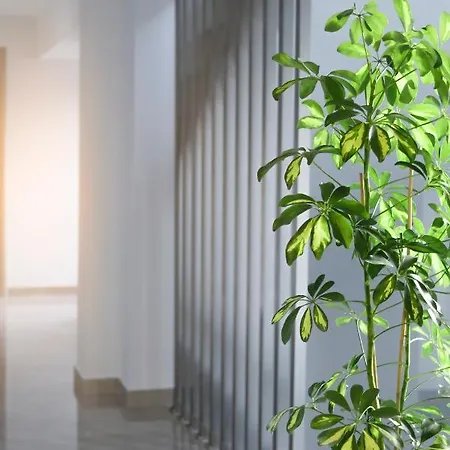 Summer Полихроно