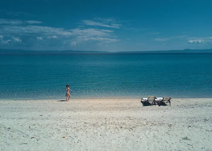 Summer 3* Polychrono