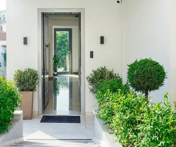 Summer 3* Polychrono