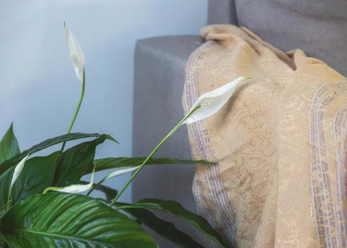 Aparthotel Summer 3*