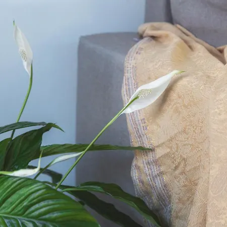 Ξενοδοχείο με διαμερίσματα Summer 3*